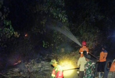 Setengah Hektare Lahan di Sungai Buluh Terbakar