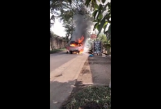 Sebuah Truk Terbakar Habis oleh Si Jago Merah di Jalan Desa Muara Kumpeh