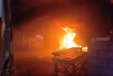 Si Jago Merah Melahap Habis Ruko Johan Luxury Tan, Kerugian Diperkirakan Ratusan Juta