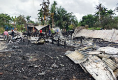 Kebakaran Hebat di Mendahara, 6 Rumah Warga Ludes Terbakar