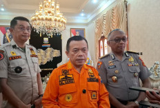 Di Hadapan Pemerintah Pusat, Gubernur Al Haris Pastikan Satgas Karhutla Terus Bekerja Padamkan Titik Api