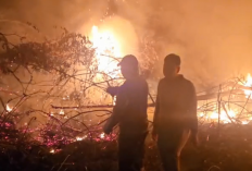 PT ALN Terbakar, Tim Karhutla Berjibaku Padamkan Api
