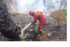 Karhutla Kembali Menghantui Muaro Jambi, Kumpeh dan Sungai Gelam Jadi Titik Rawan