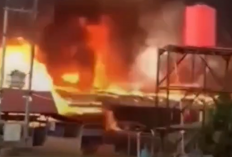 Kebakaran Kandang Ayam di Muaro Sebapo, Kerugian Capai Rp 6 Miliar