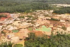 Diduga Penadah Emas Ilegal (PETI), Warga Muara Tabir Tebo Ditangkap Polda Jambi