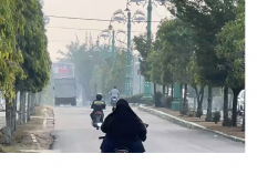 Dalam Enam Hari, Tercatat 805 Kasus ISPA Di Batang Hari