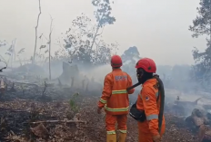 Sempat Nihil, Tiga Titik Api Karhutla Kembali Terdeteksi di Batanghari