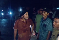 Tumbangkan Pohon, Sekelompok Warga Hadang Petugas. Bupati Dodi Berang!