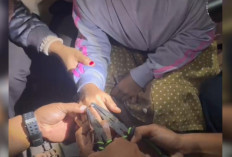 Cincin Tak Bisa Lepas, Seorang Siswi SD Minta Bantu Petugas Damkarmat