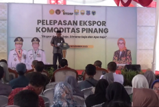 Jambi Ekspor 36 Ton Pinang ke Bangladesh, Nilai Capai Rp1,3 Miliar