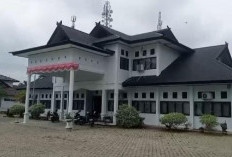 Akibat Silpa Lebih 30% DD Pematang Sapat Gagal Salur