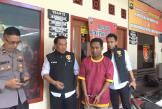 Satu Pencuri Kayu Bulian Ditangkap, Lima Buron Dikejar Polisi    ?