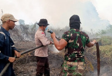 Tim Gabungan Padamkan Karhutla di Kumpeh Ulu, 10 Hektare Lahan Berhasil Dipadamkan
