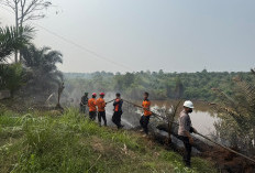 Hotspot Terdeteksi, Dua Hektare Lahan di Sarana Jaya Bungo Terbakar