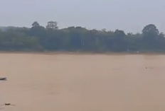Bermain di Sungai Batanghari, Bocah 11 Tahun Tenggelam di Muara Tembesi