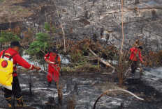 Waspada Karhutla! 11 Titik Api dan Puluhan Titik Panas Terdeteksi di Batanghari