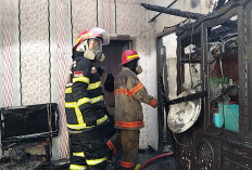 Kebakaran Hebat di Alam Barajo, Rumah Warga Hangus dan Bocah Alami Luka Bakar