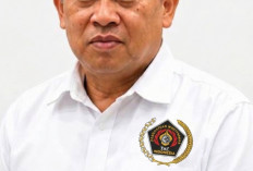 Jon Heri, Pemberhentian Firdaus Pelanggaran HAM Dan Ancaman Demokrasi