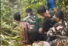 Kasus Pengeroyokan Video Diduga Personel TNI Bentrok Dengan Warga Sad Di  Kabupaten Sarolangun 