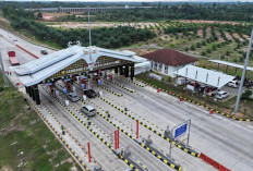 Long Weekend Imlek di Tol Sumatera, Hutama Karya Catat Volume Kendaraan Naik 41,21 Persen