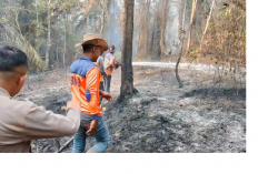 Karhutla Batang Hari, 10 Hektare Hutan di Kuali Pecah Bajubang Terbakar