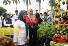 Dari Ladang ke Lapangan Garuda, Pasar Tani Jambi Menghidupkan Harapan Petani