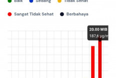 Kualitas Udara Muaro Jambi Sempat Sangat Tidak Sehat, BMKG Belum Pastikan Penyebabnya
