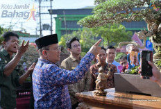 Pameran Nasional Bonsai Kota Jambi 2026 Resmi Dibuka, Semarakkan HUT Pemkot dan Hari Jadi Tanah Pilih