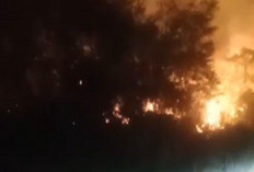 Lahan Kembali Membara di Muaro Jambi, Api Padam Setelah Hampir 2 Jam