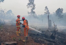 Sempat Nihil Usai Hujan, Tiga Titik Karhutla Kembali Muncul di Batang Hari