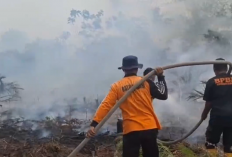 Luas Hutan dan Lahan Terbakar di Batanghari Capai 1.316 Hektare
