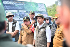 Dampingi Menhut Raja Juli, Al Haris Tinjau Konservasi Gajah dan Hutan Desa di Jambi