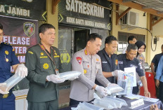 Kurir Dibayar Rp3 Juta, Polisi Sita 47.872 Benih Lobster Senilai Rp7,1 Miliar