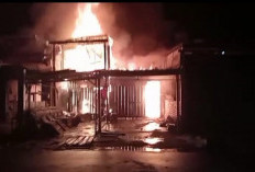 Kebakaran Hebat Hanguskan 15 Rumah Warga di Pandan Jaya, Diduga Akibat Korsleting Listrik