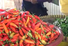 Harga Cabai di Pasar Aurduri Jambi Melambung Pasca Lebaran