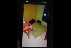 Kasus Persetubuhan Anak, Korban Diancam Pelaku Untuk Ikuti Aksi Bejatnya .