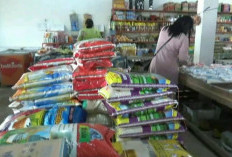 Jelang Idul Adha 1447 H, Kebutuhan Konsumsi Beras di Batang Hari Bertambah Jadi 2.000 Ton Per Bulan