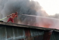 Sijago Merah Mengamuk Di Nipah Panjang, 12 Rumah Terbakar