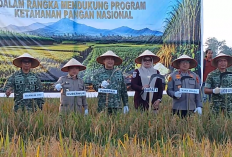Tanjab Timur Jadi Tuan Rumah Panen Padi Serentak, Wujud Komitmen Pemkab Perkuat Ketahanan Pangan Nasional