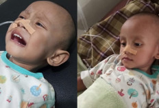 Balita 2 Tahun Asal Pondok Tinggi Berjuang Melawan Sakit, Keluarga Tak Mampu Biayai Pengobatan