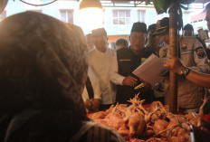 Wagub Sani Pastikan Stok dan Harga Pangan Jambi Aman Jelang Puasa dan Lebaran