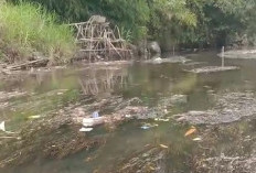 Humas PT KMH Bungkam, Surutnya Danau Kerinci Picu Amarah Warga