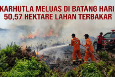 Karhutla Meluas di Batang Hari, 50,57 Hektare Lahan Terbakar