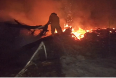 Dampak Karhutla di Batang Hari, Luas Hutan dan Lahan Terbakar Capai 1.616 Hektare