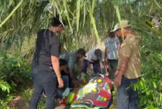 Geger! Lansia 83 Tahun Ditemukan Tewas Mengapung di Sungai Blok A Geragai