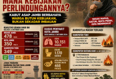 ISPA Tembus 10.151 Kasus, Kabut Asap Jambi Berbahaya: Warga Butuh Kebijakan, Bukan Sekadar Imbauan