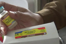 Cegah Penularan Rabies, Pemkab Batang Hari Siapkan 600 Dosis Vaksin