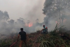 Angin Kencang dan Sulitnya Akses, Damkar Berjuang Jinakkan Api di Tanjung Johor