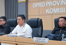 DPRD Jambi Minta Izin PT SAS Diverifikasi, Jalan Khusus hingga Stockpile Disorot
