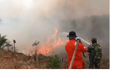 Tahura Batang Hari Kembali Terbakar, Enam Hektare Kawasan Hutan Hangus